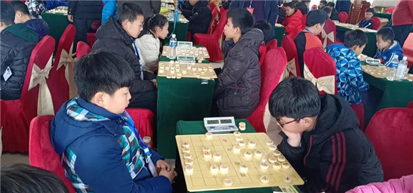 小天才棋院赛事喜报