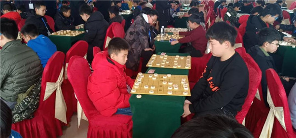 小天才棋院赛事喜报